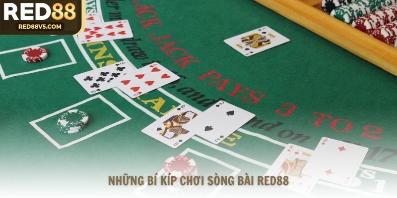 Những bí kíp chơi sòng bài Red88