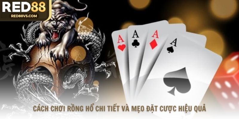 Cách Chơi Rồng Hổ Chi Tiết
