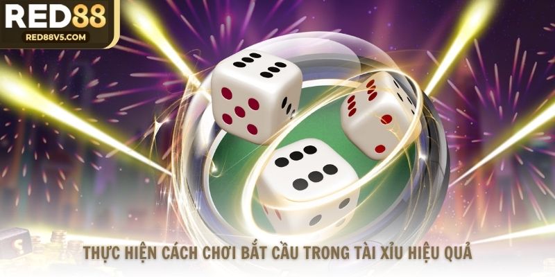 Thực hiện cách chơi bắt cầu trong Tài Xỉu hiệu quả