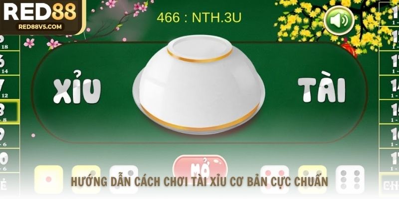 Hướng dẫn cách chơi Tài Xỉu cơ bản cực chuẩn