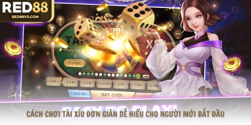 Cách Chơi Tài Xỉu Đơn Giản Dễ Hiểu Cho Người Mới