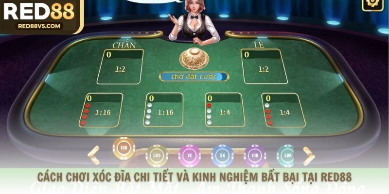 Cách Chơi Xóc Đĩa Chi Tiết Và Kinh Nghiệm Bất Bại Tại RED88