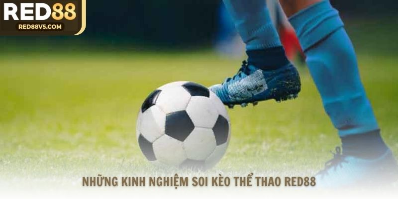Những kinh nghiệm soi kèo thể thao Red88