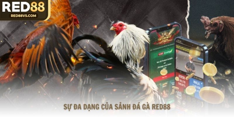Sự đa dạng của sảnh đá gà Red88